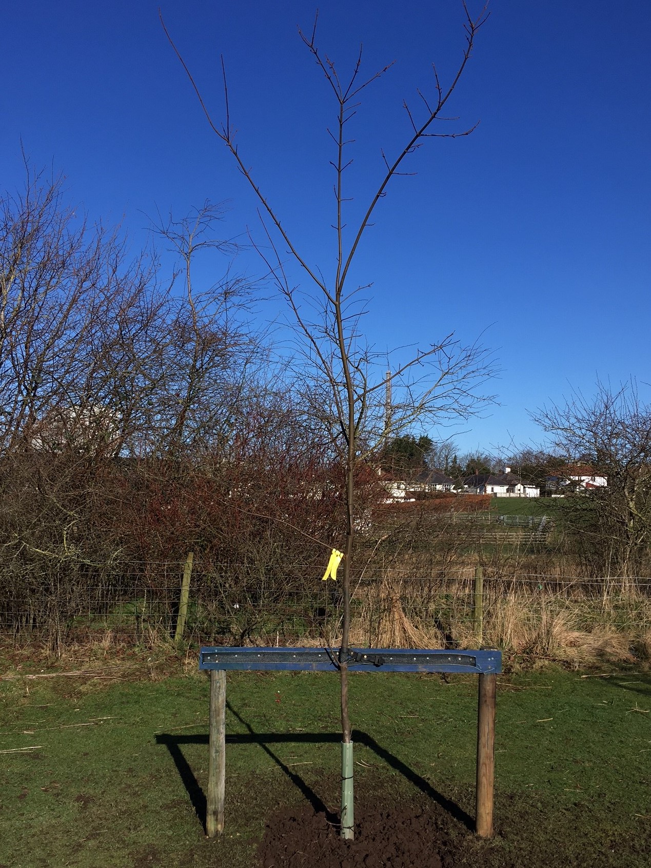 Phoenix Park Wigton Town Council